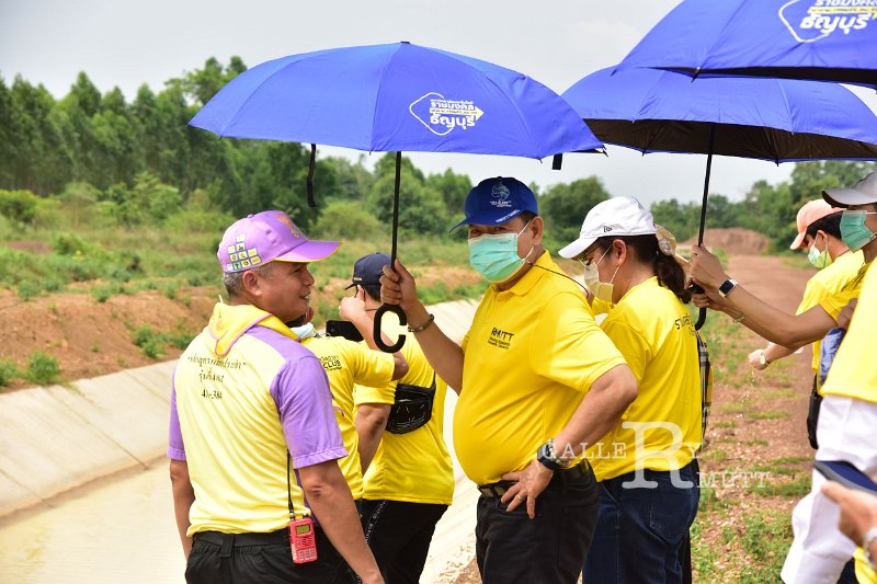 20210526-Tree planting dayt-165.JPG